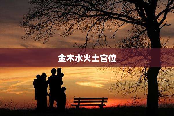金木水火土宫位
