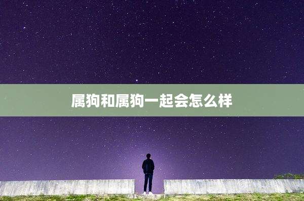 属狗和属狗一起会怎么样