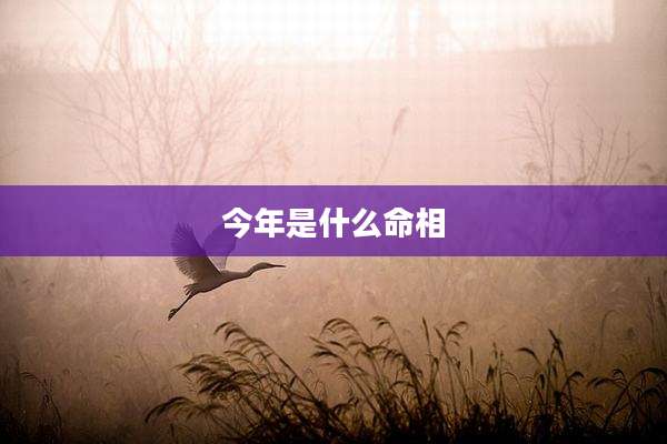 今年是什么命相