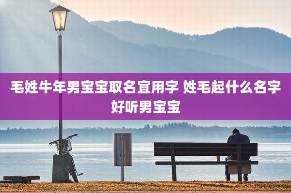 毛姓牛年男宝宝取名宜用字 姓毛起什么名字好听男宝宝