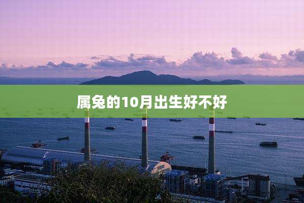 属兔的10月出生好不好