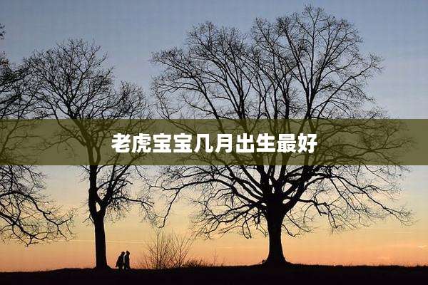 老虎宝宝几月出生最好