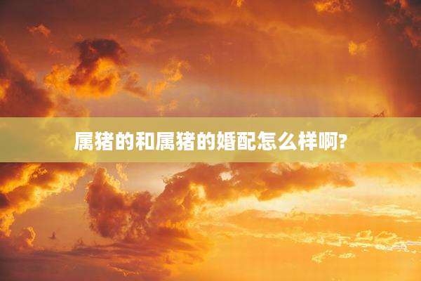 属猪的和属猪的婚配怎么样啊?