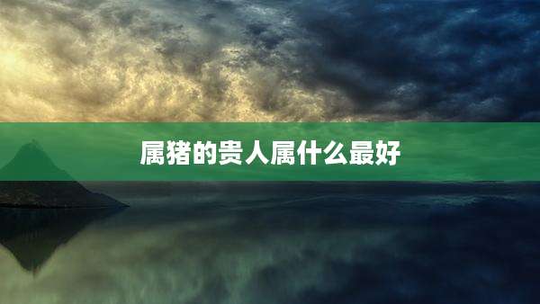 属猪的贵人属什么最好