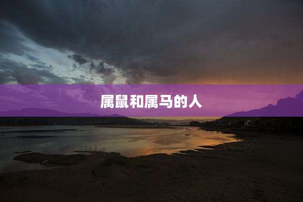 属鼠和属马的人