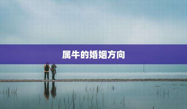 属牛的婚姻方向
