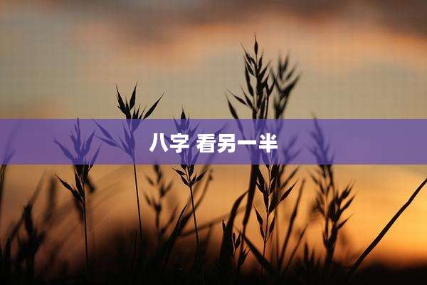 八字 看另一半