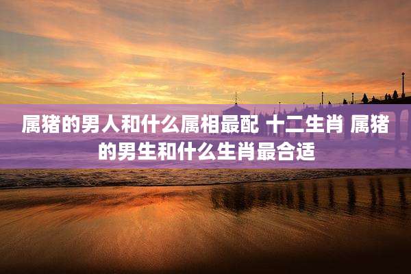 属猪的男人和什么属相最配 十二生肖 属猪的男生和什么生肖最合适