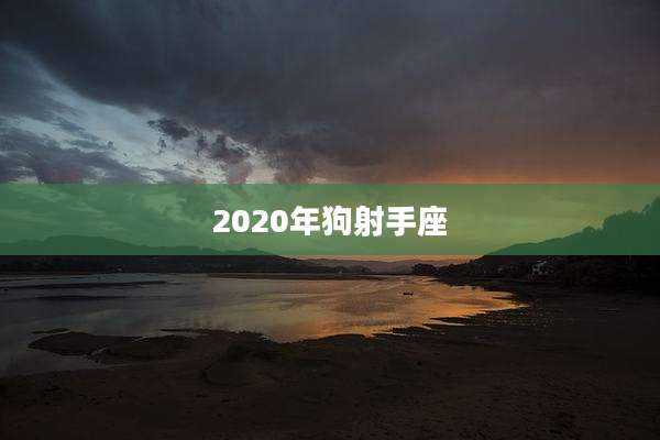 2020年狗射手座