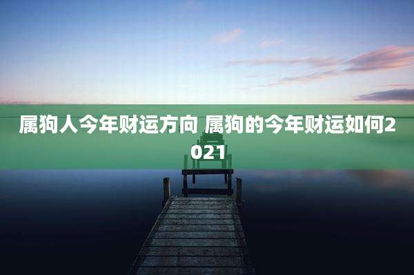 属狗人今年财运方向 属狗的今年财运如何2021