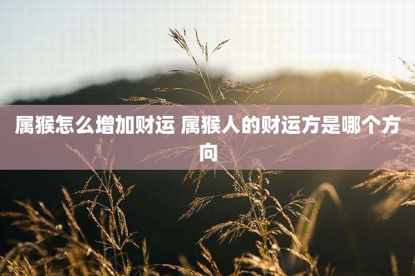 属猴怎么增加财运 属猴人的财运方是哪个方向