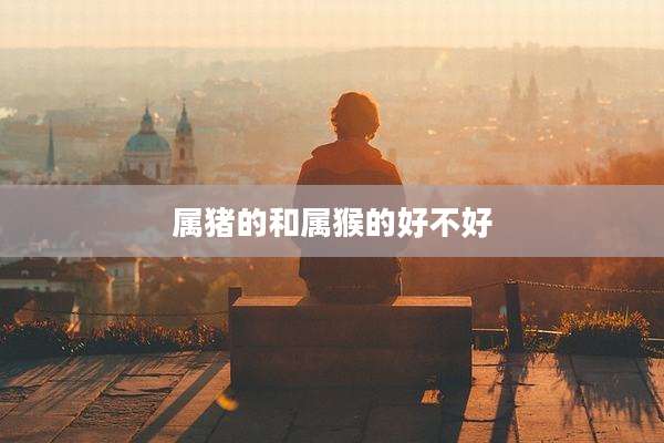 属猪的和属猴的好不好