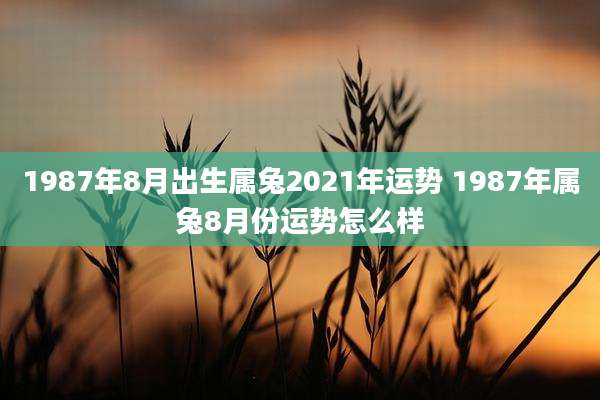 1987年8月出生属兔2021年运势 1987年属兔8月份运势怎么样