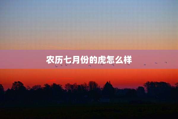 农历七月份的虎怎么样