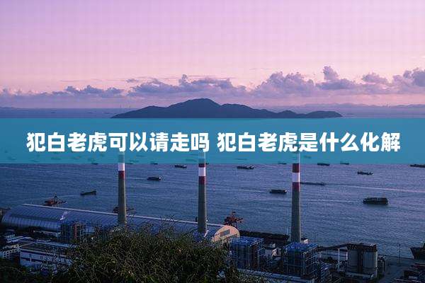 犯白老虎可以请走吗 犯白老虎是什么化解