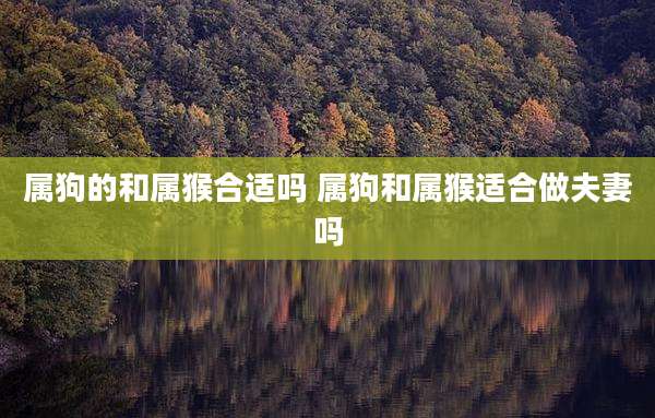 属狗的和属猴合适吗 属狗和属猴适合做夫妻吗