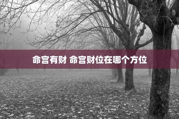 命宫有财 命宫财位在哪个方位