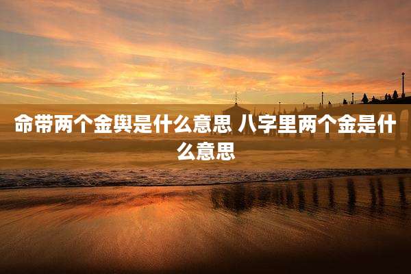 命带两个金舆是什么意思 八字里两个金是什么意思