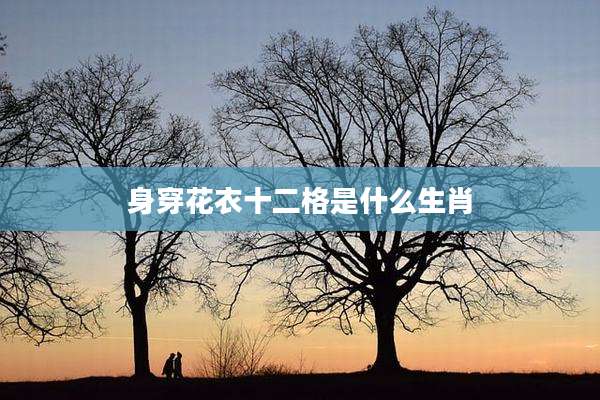 身穿花衣十二格是什么生肖