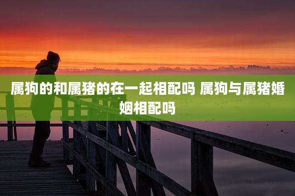 属狗的和属猪的在一起相配吗 属狗与属猪婚姻相配吗