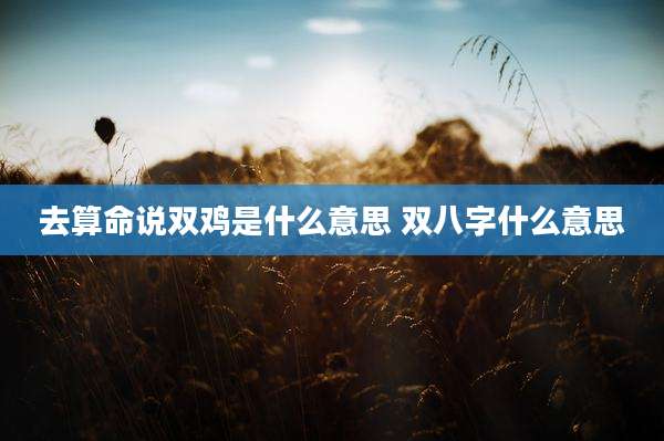 去算命说双鸡是什么意思 双八字什么意思