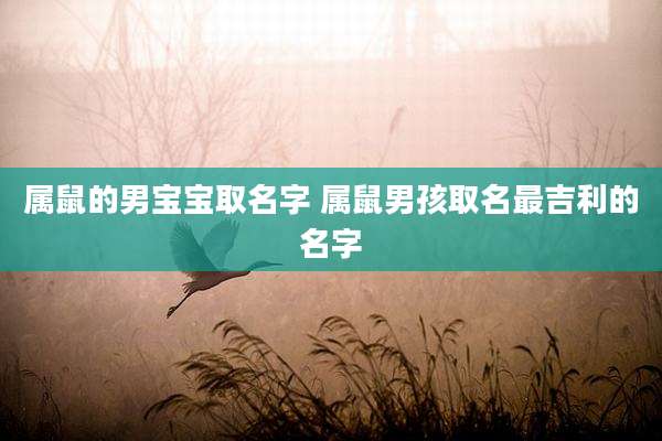 属鼠的男宝宝取名字 属鼠男孩取名最吉利的名字