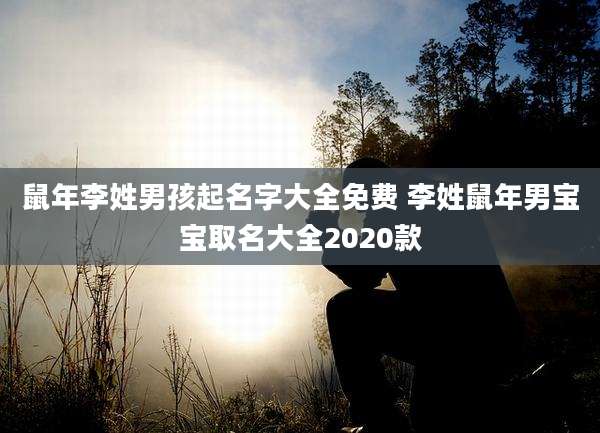 鼠年李姓男孩起名字大全免费 李姓鼠年男宝宝取名大全2020款