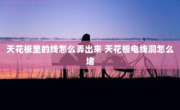 天花板里的线怎么弄出来 天花板电线洞怎么堵