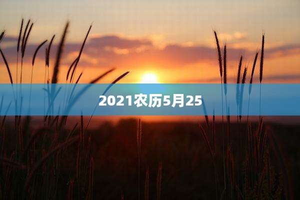 2021农历5月25