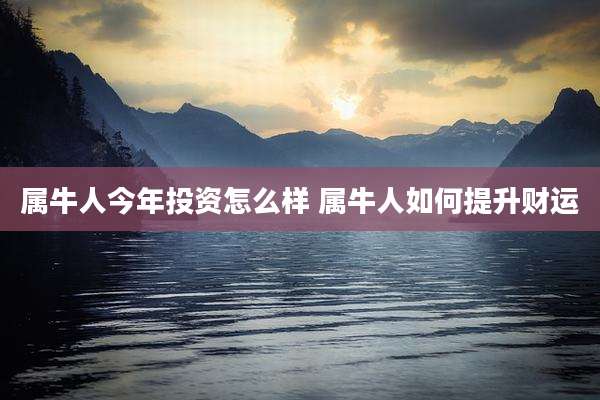 属牛人今年投资怎么样 属牛人如何提升财运