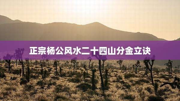 正宗杨公风水二十四山分金立诀