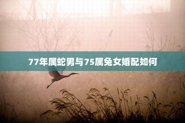 77年属蛇男与75属兔女婚配如何