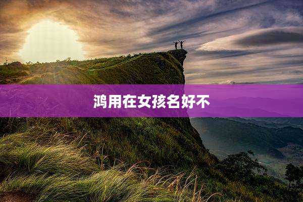 鸿用在女孩名好不