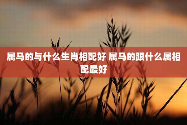 属马的与什么生肖相配好 属马的跟什么属相配最好