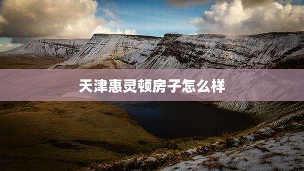天津惠灵顿房子怎么样