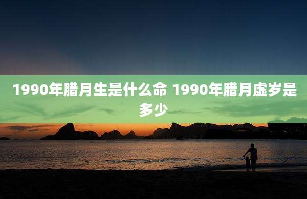1990年腊月生是什么命 1990年腊月虚岁是多少