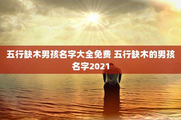 五行缺木男孩名字大全免费 五行缺木的男孩名字2021