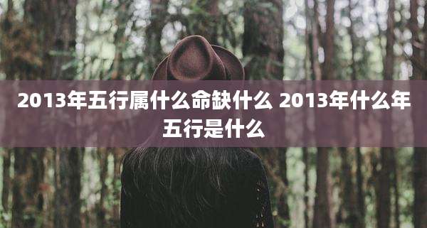 2013年五行属什么命缺什么 2013年什么年五行是什么