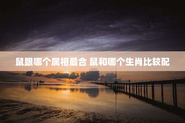 鼠跟哪个属相最合 鼠和哪个生肖比较配