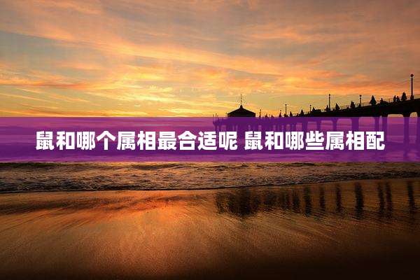鼠和哪个属相最合适呢 鼠和哪些属相配
