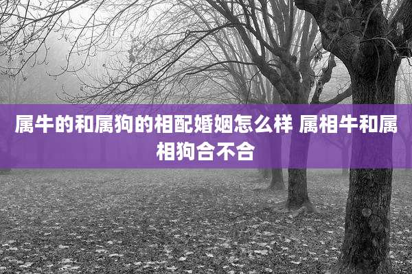 属牛的和属狗的相配婚姻怎么样 属相牛和属相狗合不合