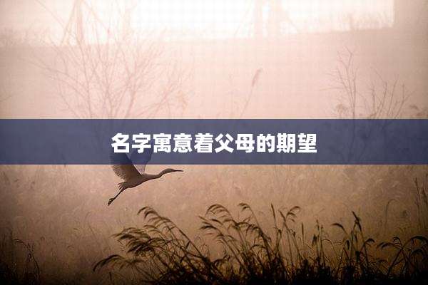 名字寓意着父母的期望