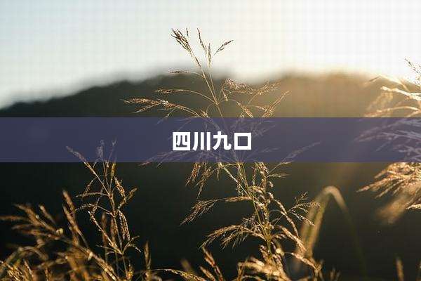 四川九口