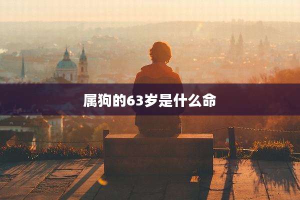 属狗的63岁是什么命