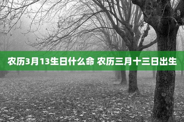 农历3月13生日什么命 农历三月十三日出生