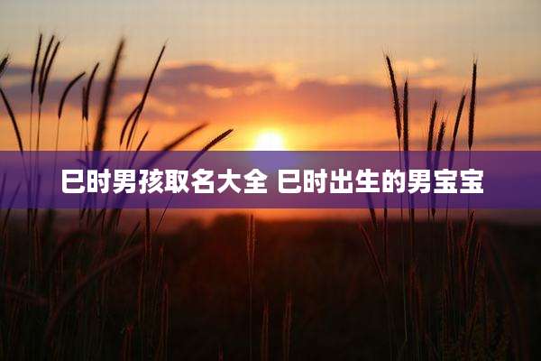 巳时男孩取名大全 巳时出生的男宝宝