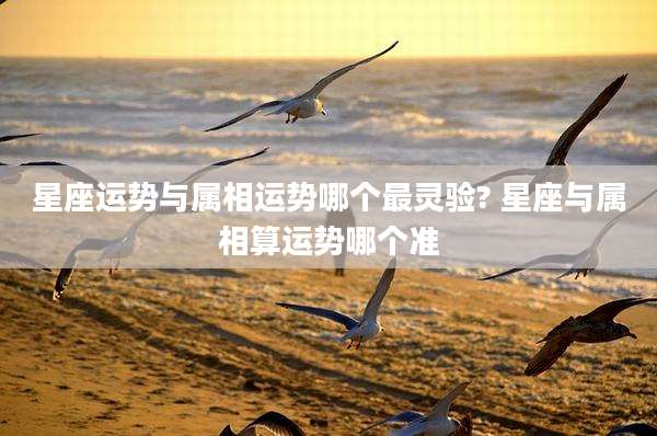 星座运势与属相运势哪个最灵验? 星座与属相算运势哪个准