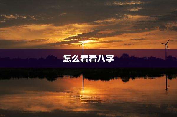 怎么看看八字