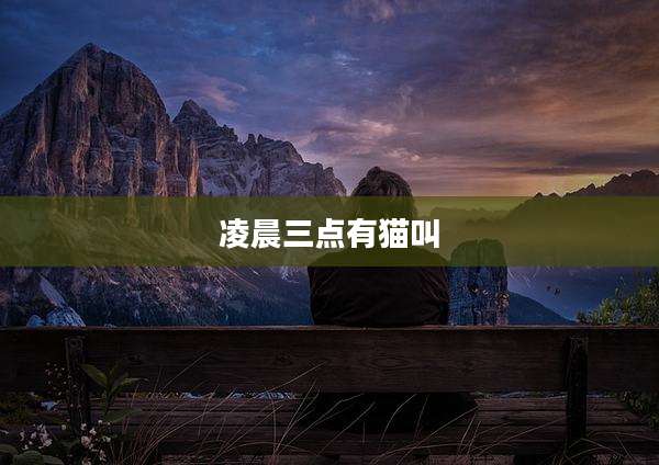 凌晨三点有猫叫
