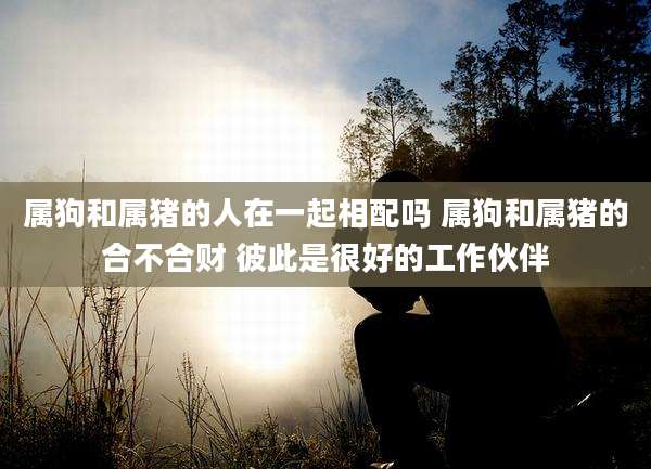 属狗和属猪的人在一起相配吗 属狗和属猪的合不合财 彼此是很好的工作伙伴